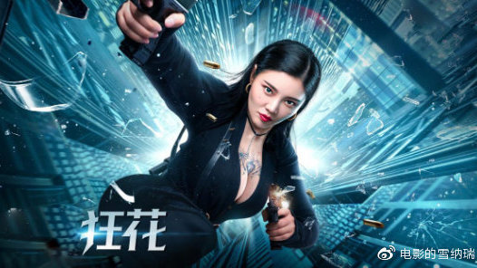 霍夫斯特拉大学证书